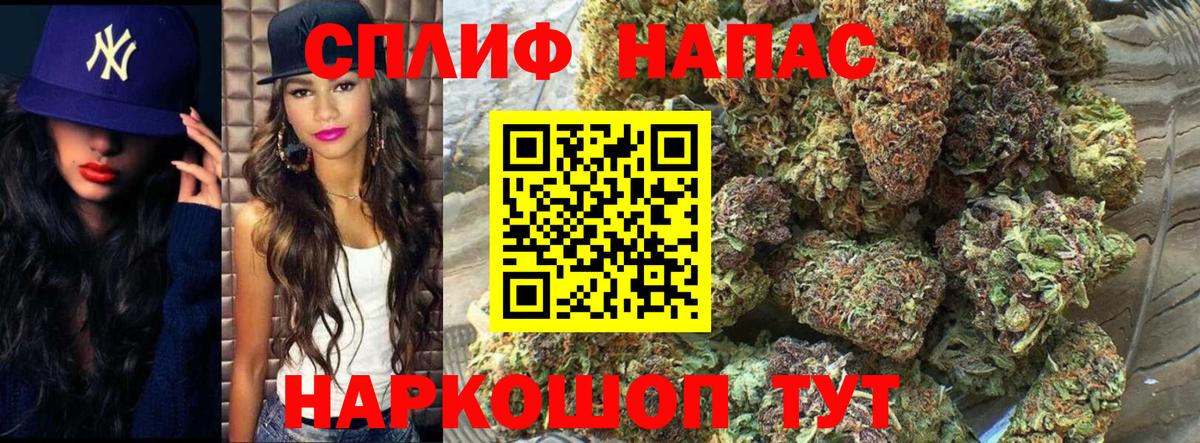 Бошки Шишки ГИДРОПОН Жигулёвск
